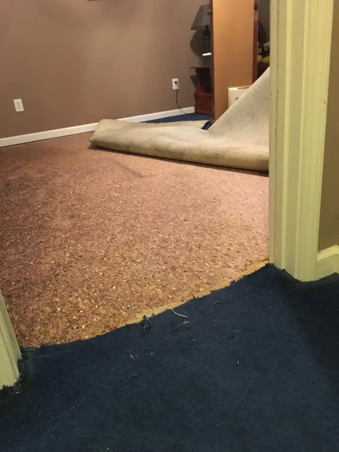 Carpet pad removal revealing water damage during Drying & Dehumidification in Livermore