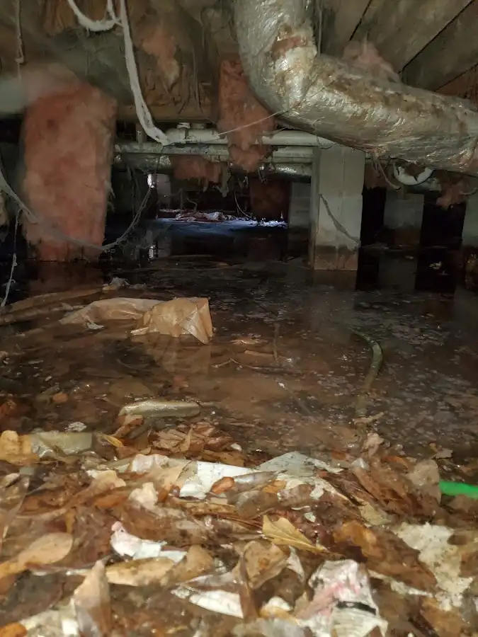 Crawl space flood assessment for Leak Detection & Repair in Livermore